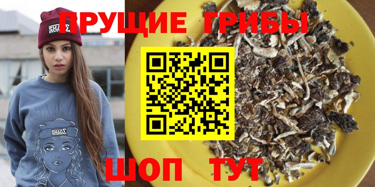 Галлюциногенные грибы прущие грибы  Галлюциногенные грибы Psilocybine cubensis  Вход с VPN  Ливны 